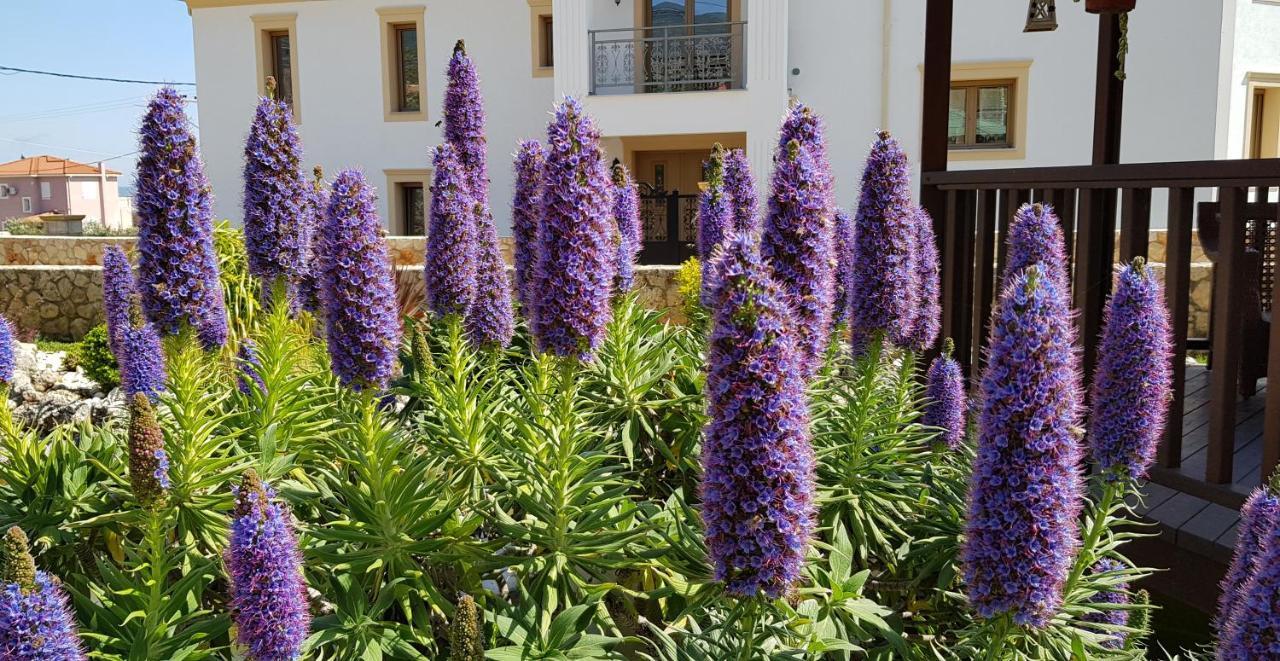 Villa Omega Kefalonia Karavádhos Exterior foto